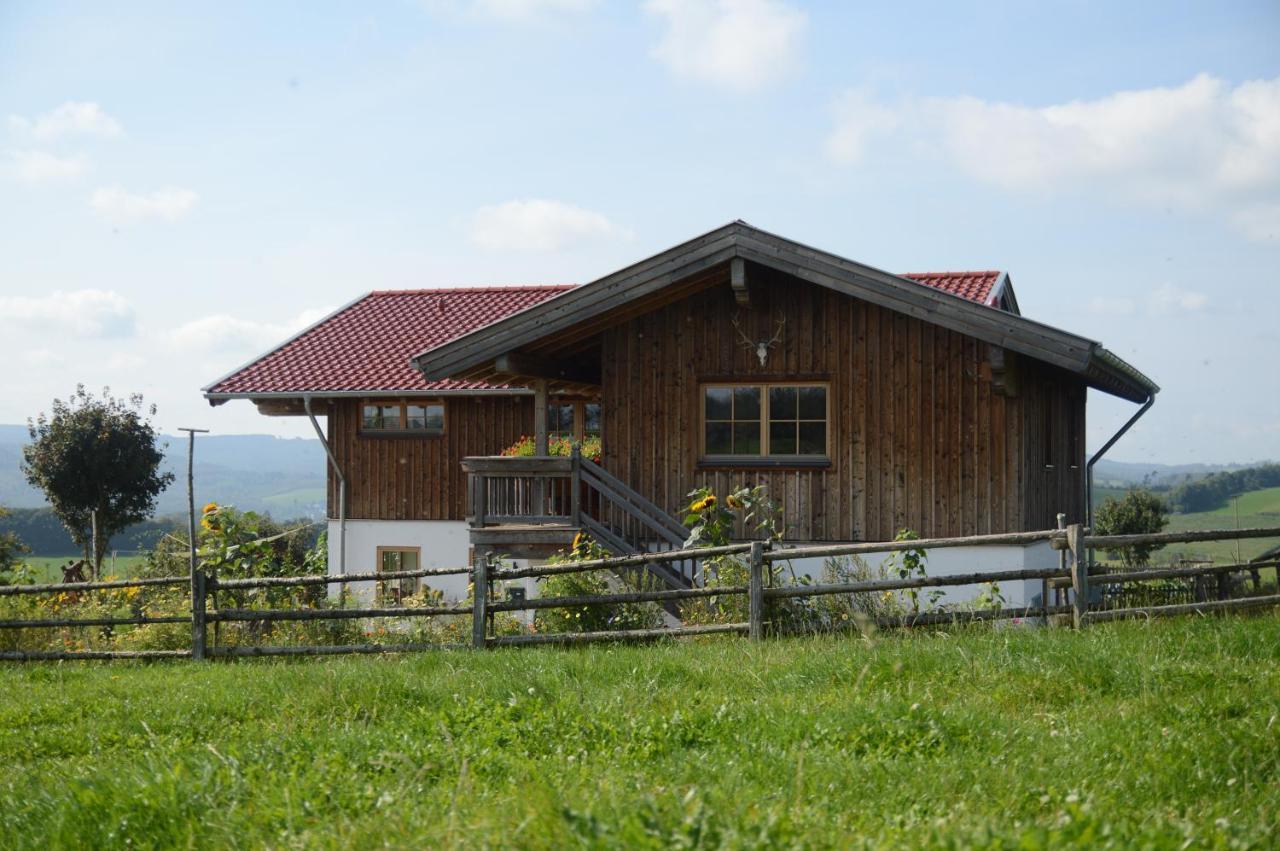 Chalet Bergliebe 布里隆 外观 照片