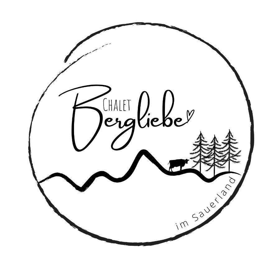Chalet Bergliebe 布里隆 外观 照片