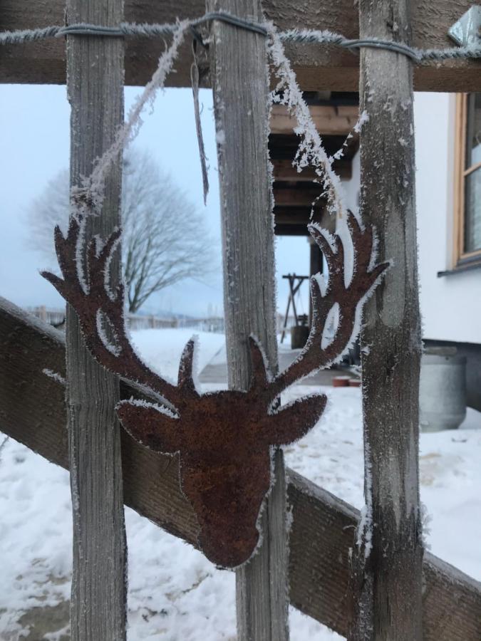 Chalet Bergliebe 布里隆 外观 照片