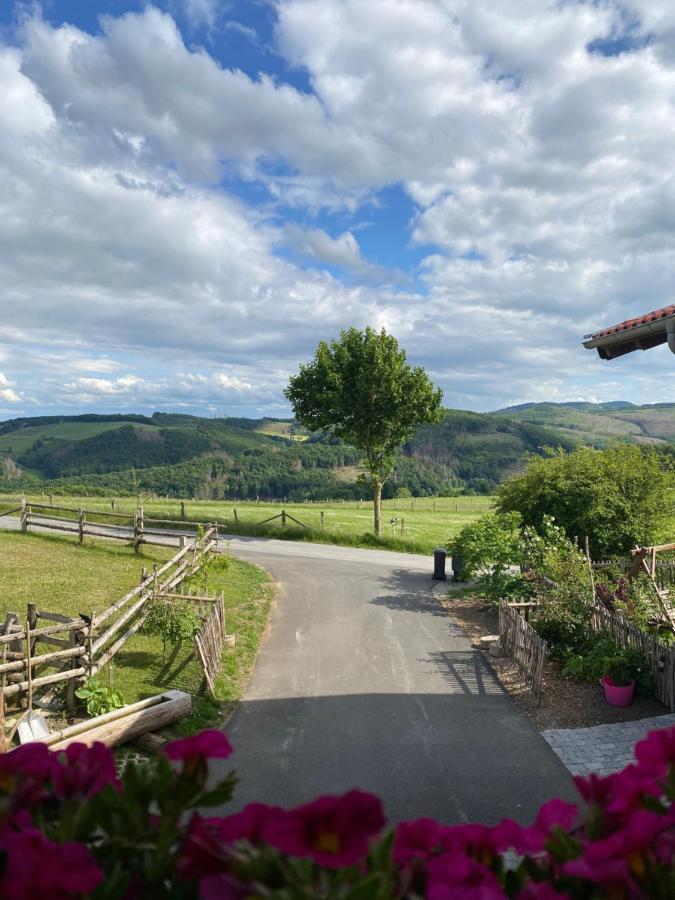 Chalet Bergliebe 布里隆 外观 照片