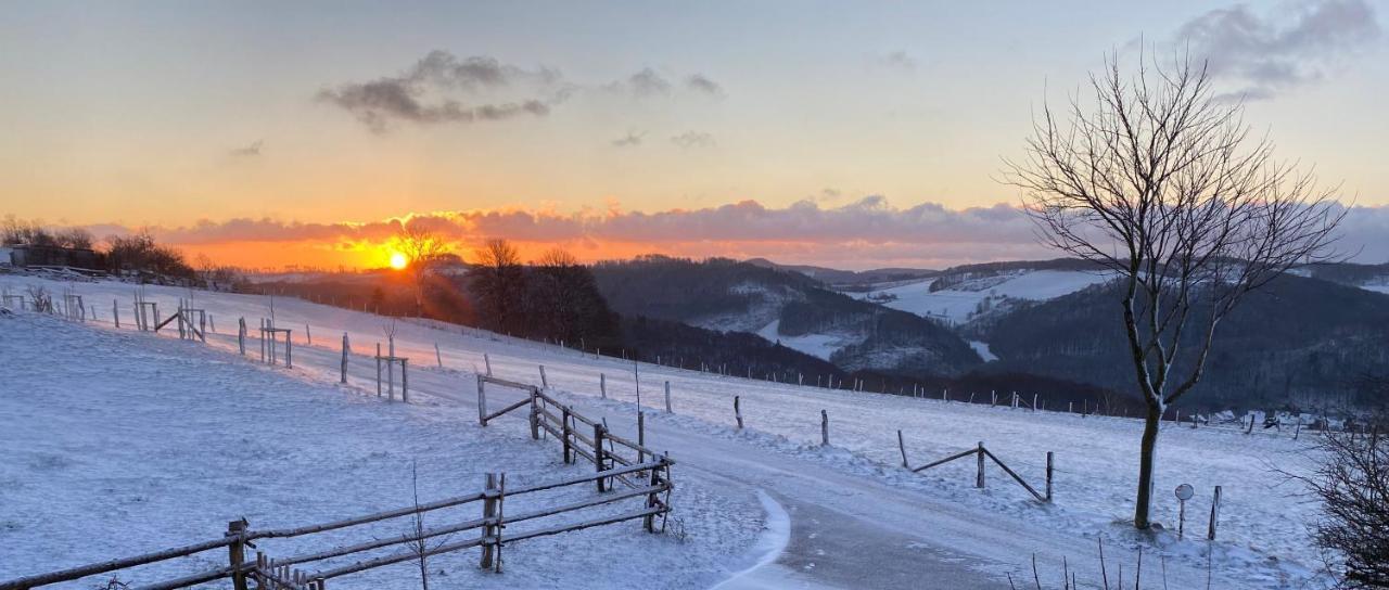 Chalet Bergliebe 布里隆 外观 照片