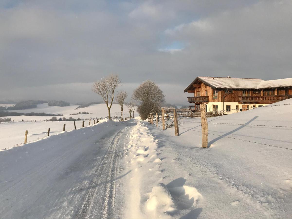 Chalet Bergliebe 布里隆 外观 照片