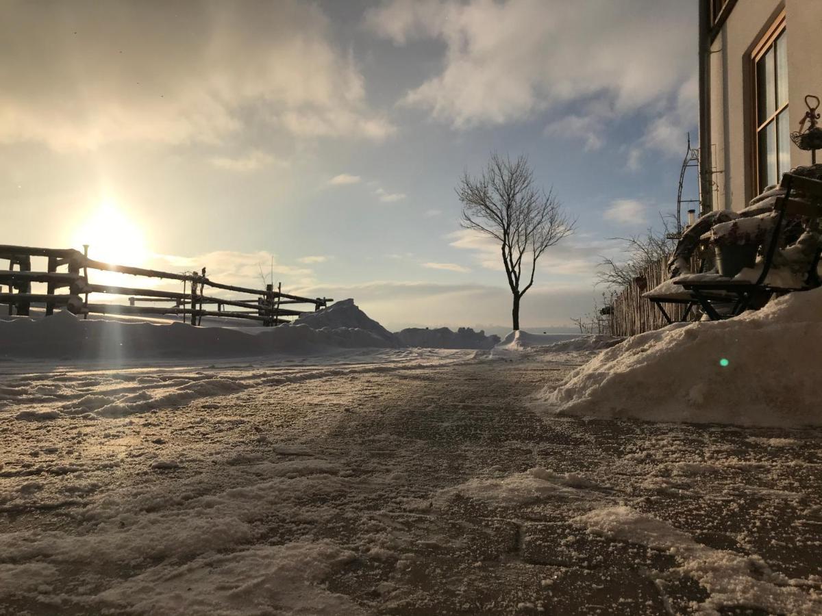 Chalet Bergliebe 布里隆 外观 照片