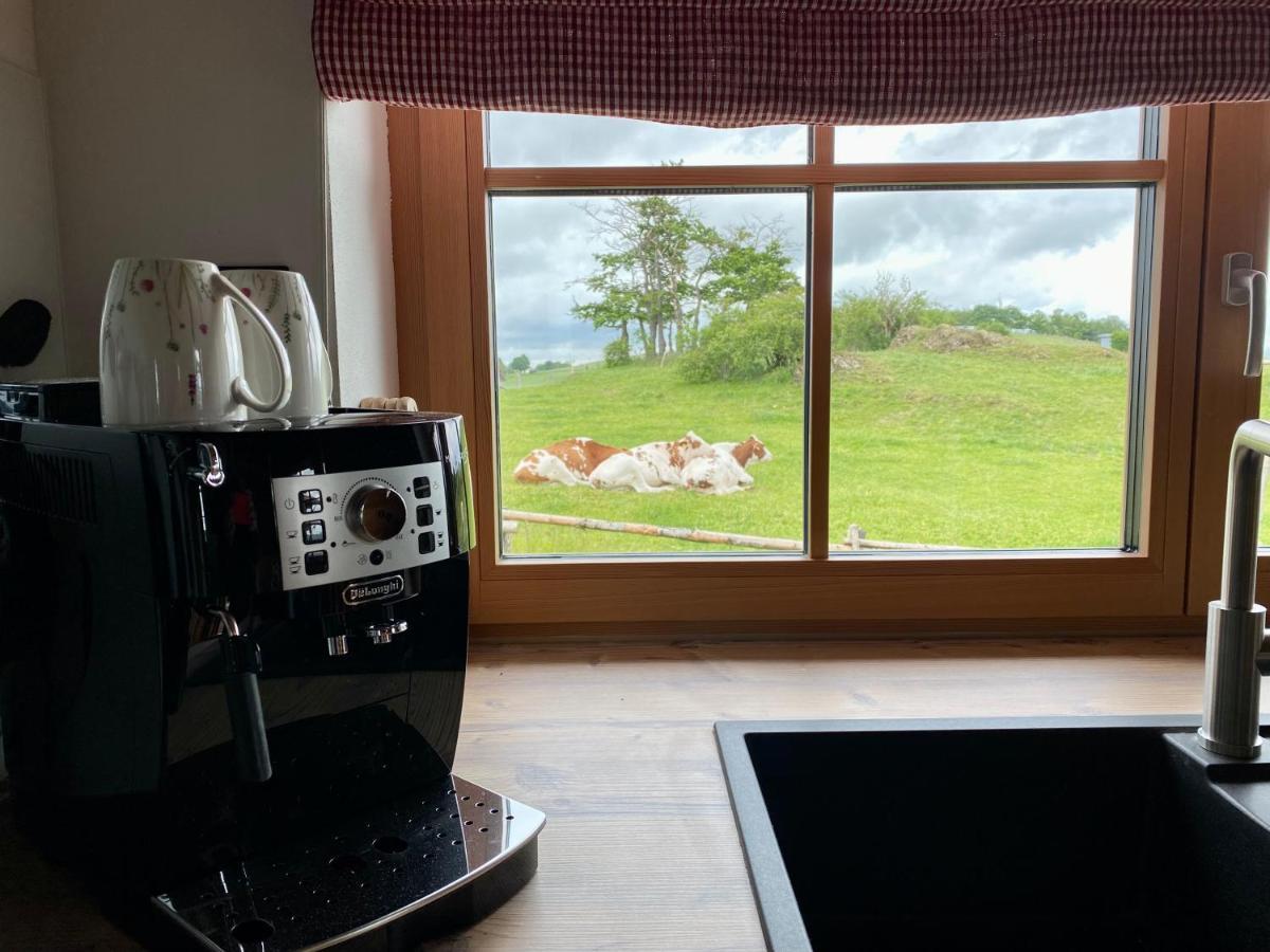Chalet Bergliebe 布里隆 外观 照片